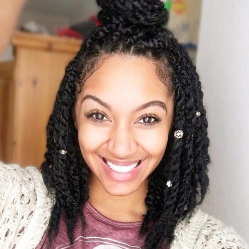 Braided Hairstyles With Natural Hair (Photo 11 of 15)
