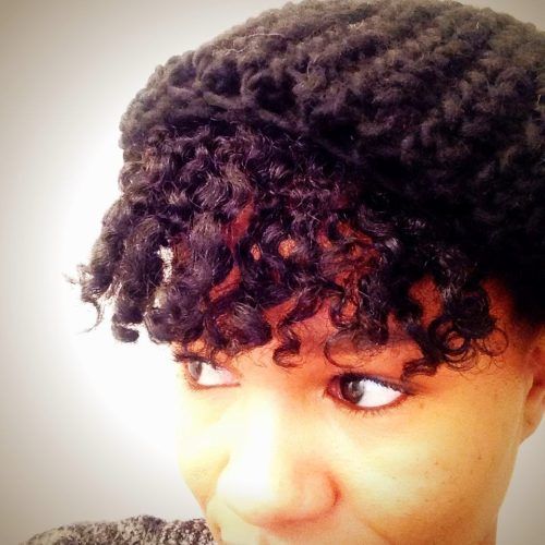 Crossed Twists And Afro Puff Pony (Photo 14 of 15)