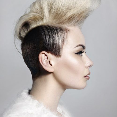Sculptural Punky Ponytail Hairstyles (Photo 15 of 20)