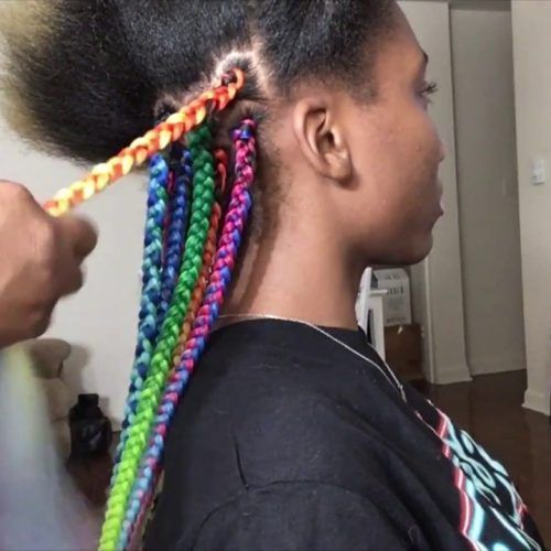 Multicolored Extension Braid Hairstyles (Photo 9 of 20)
