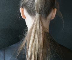 20 Best Collection of Double Tied Pony Hairstyles