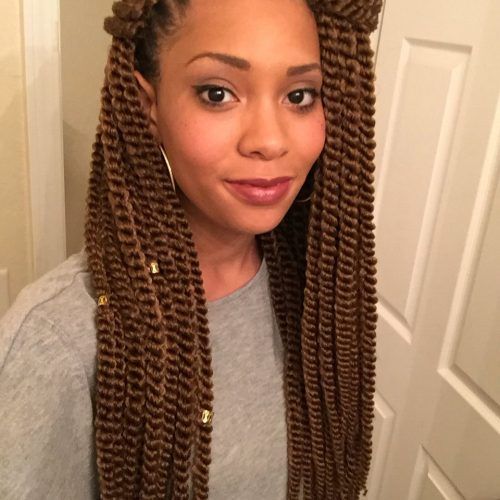 Black And Brown Senegalese Twist Hairstyles (Photo 17 of 20)