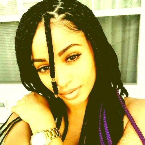 Bold Triangle Parted Box Braids (Photo 15 of 15)
