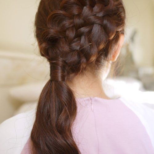 Braided Side Ponytail Hairstyles (Photo 16 of 20)