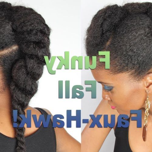 Braids And Twists Fauxhawk Hairstyles (Photo 19 of 20)