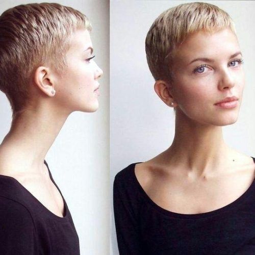 Buzzed Pixie Haircuts (Photo 1 of 20)