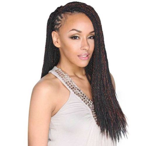 Cornrows And Senegalese Twists Ponytail Hairstyles (Photo 6 of 20)