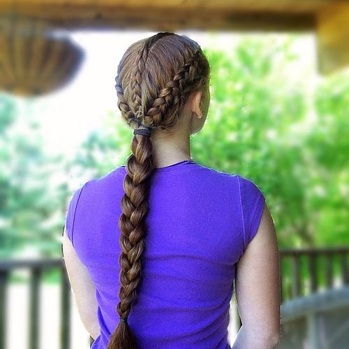 Defined French Braid Hairstyles (Photo 15 of 20)
