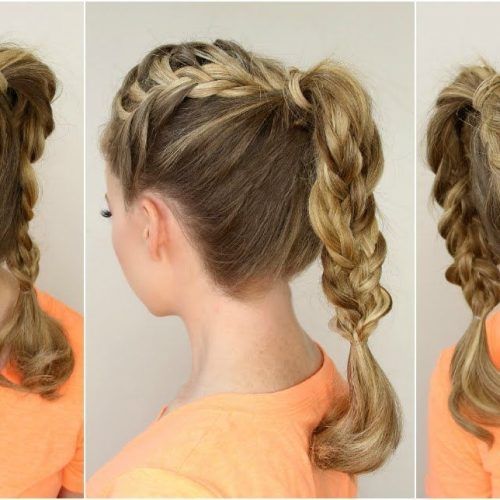 Double French Braids And Ponytails (Photo 6 of 15)