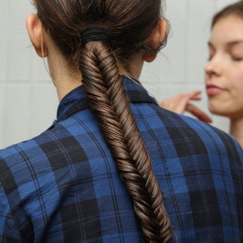 Fantastical French Braid Ponytail Hairstyles (Photo 18 of 20)