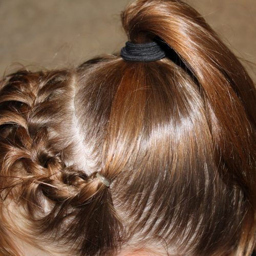 French Braids Into Pigtails (Photo 14 of 15)