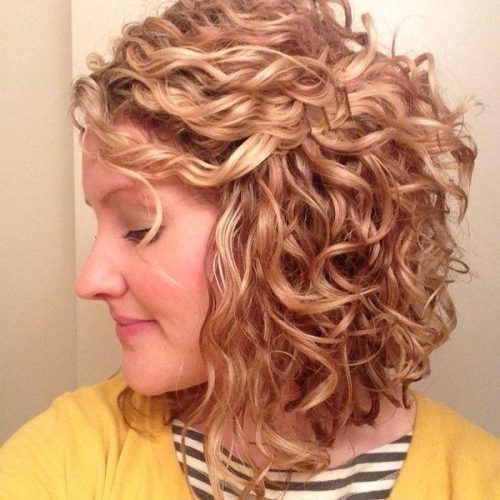 Inverted Bob Haircut For Curly Hair (Photo 7 of 15)