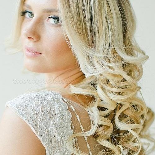 Long Hairstyles For Weddings Hair Down (Photo 14 of 15)