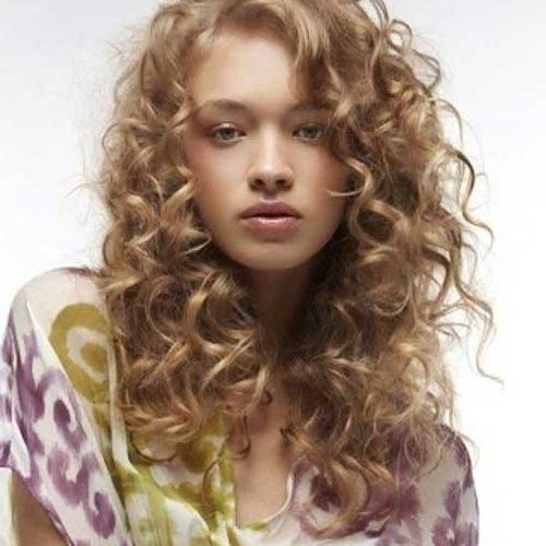 Long Hairstyles With Layers And Curls (Photo 1 of 20)