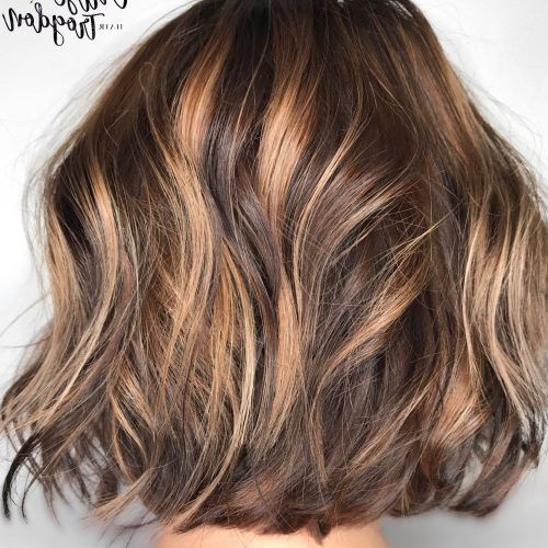 Longer Textured Haircuts With Sun-Kissed Balayage (Photo 1 of 20)