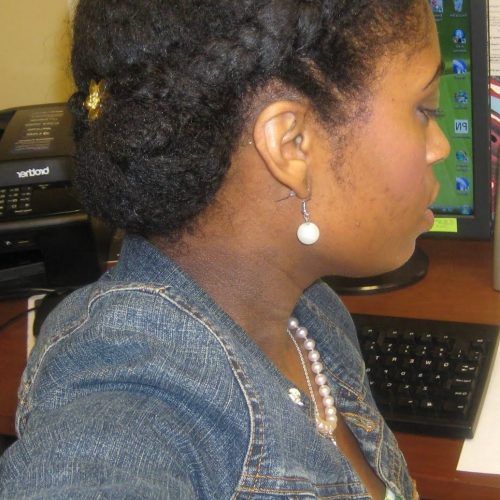 Pinned Up Braided Hairstyles (Photo 12 of 15)