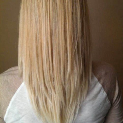 Shoulder-Length Haircuts With Long V-Layers (Photo 5 of 20)