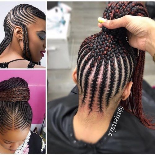 Side Braided Curly Mohawk Hairstyles (Photo 14 of 20)