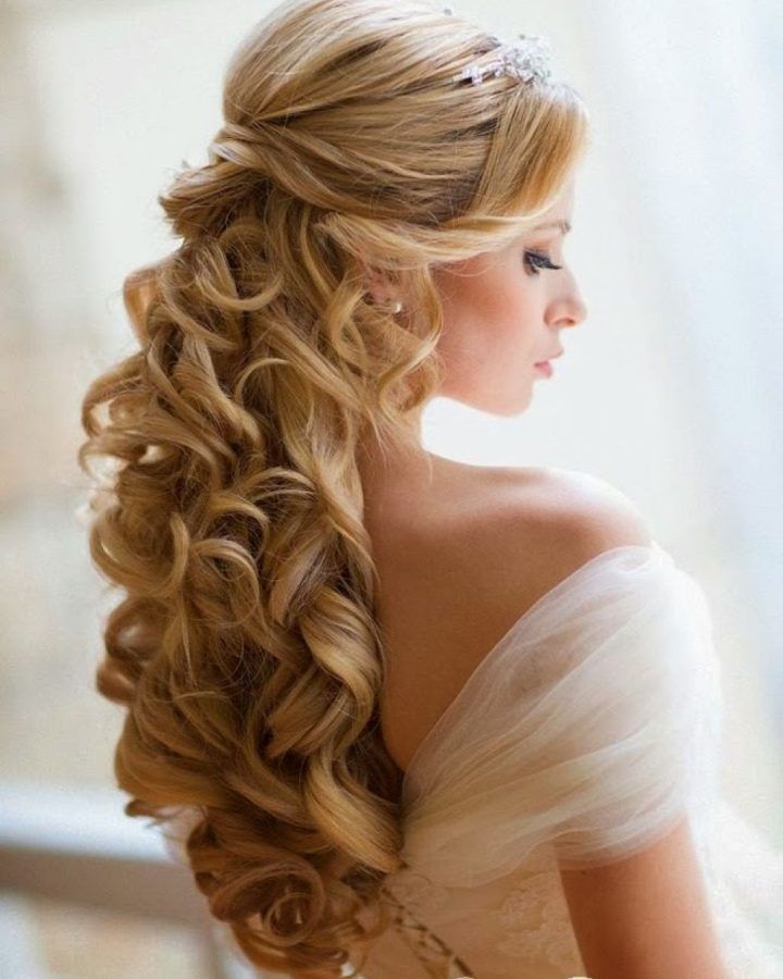 20 Best Collection of Sophisticated Pulled Back Cascade Bridal Hairstyles