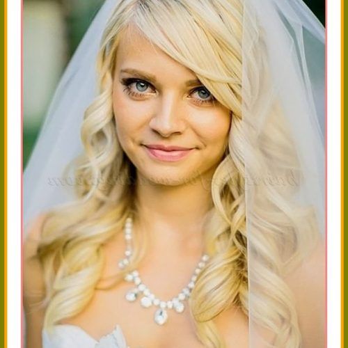 Wedding Hairstyles For Medium Length Hair With Veil (Photo 15 of 15)