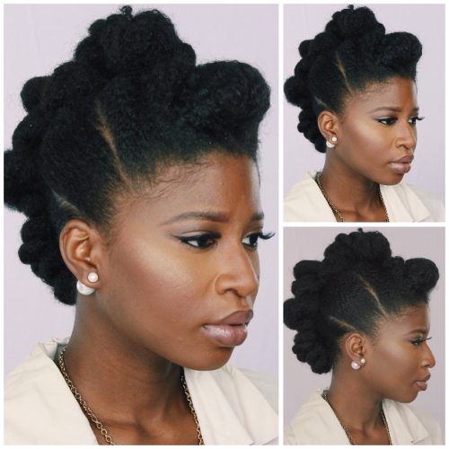 Wedding Hairstyles For Natural Afro Hair (Photo 7 of 15)