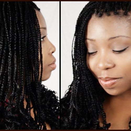Wet And Wavy Micro Braid Hairstyles (Photo 19 of 20)