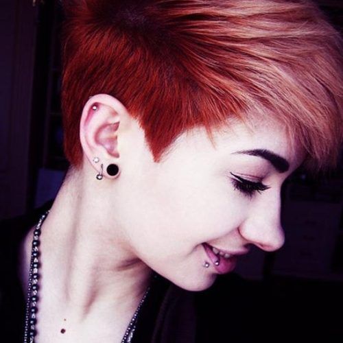 Red Short Hairstyles (Photo 9 of 20)