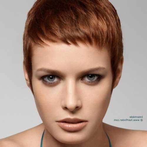 Pixie Haircuts With Short Bangs (Photo 15 of 20)