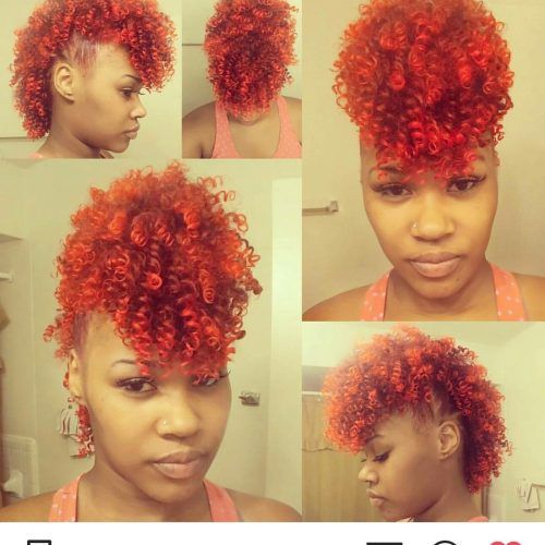 Red Curly Mohawk Hairstyles (Photo 5 of 20)