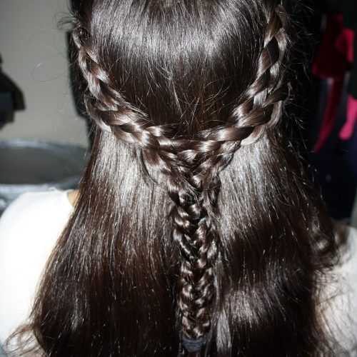Reign Braided Hairstyles (Photo 9 of 15)