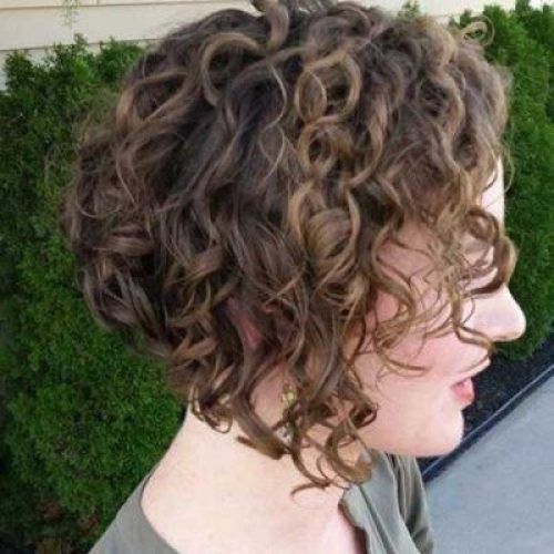 Inverted Bob For Curly Hair (Photo 6 of 15)