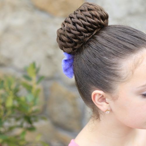 Rope Twist Updo Hairstyles With Accessories (Photo 16 of 20)