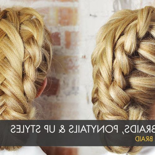 Rope And Fishtail Braid Hairstyles (Photo 14 of 20)