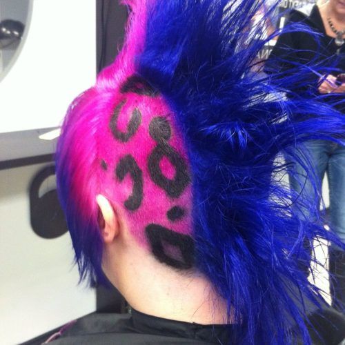 Pink And Purple Mohawk Hairstyles (Photo 12 of 20)