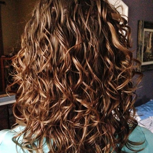 Casual Scrunched Hairstyles For Short Curly Hair (Photo 12 of 20)