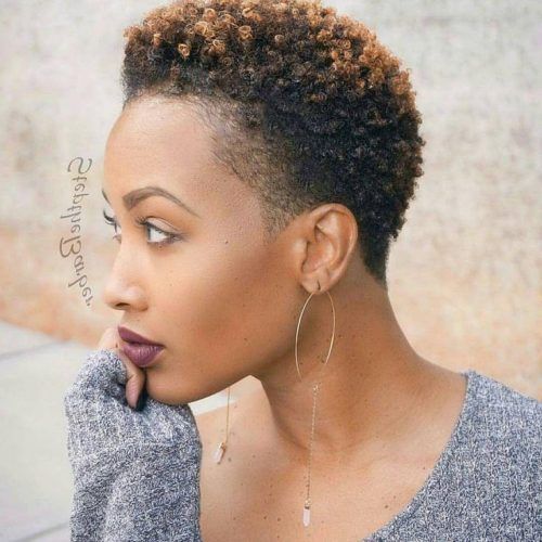 Black Women Natural Short Haircuts (Photo 1 of 20)