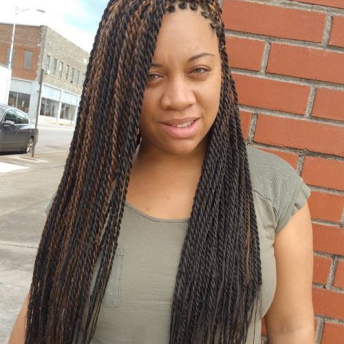 Side-Parted Micro Twist Hairstyles (Photo 1 of 20)