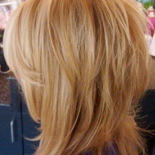 Long Shaggy Hairstyles For Fine Hair (Photo 6 of 15)