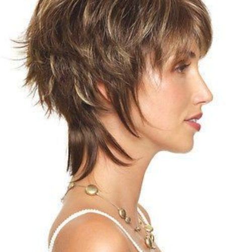 Shaggy Brown Hairstyles (Photo 10 of 15)