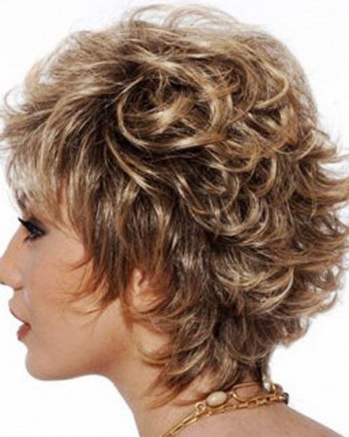 15 Ideas of Short Shaggy Hairstyles for Curly Hair