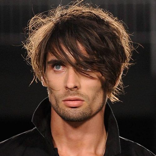 Long Shaggy Hairstyles For Guys (Photo 13 of 15)