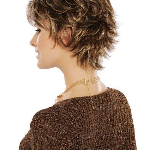 Pixie Shag Haircuts For Women Over 60 (Photo 19 of 20)