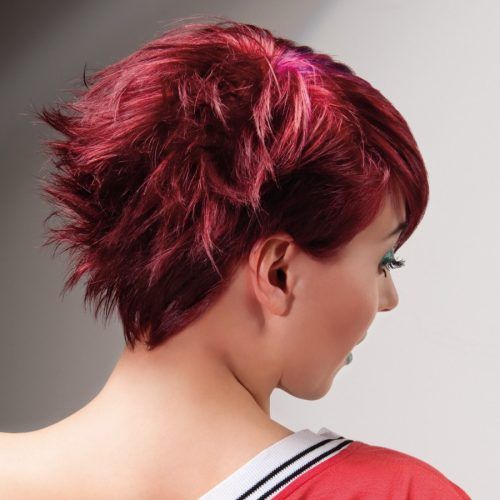 Sunset-Inspired Pixie Bob Hairstyles With Nape Undercut (Photo 8 of 20)