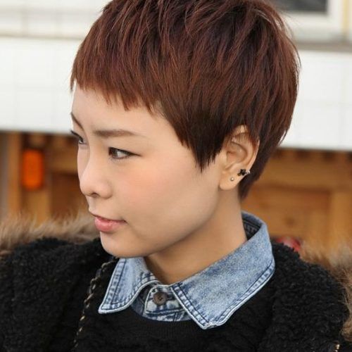Very Short Asian Hairstyles (Photo 10 of 20)