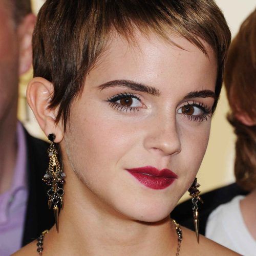 Short Choppy Side-Parted Pixie Hairstyles (Photo 8 of 20)