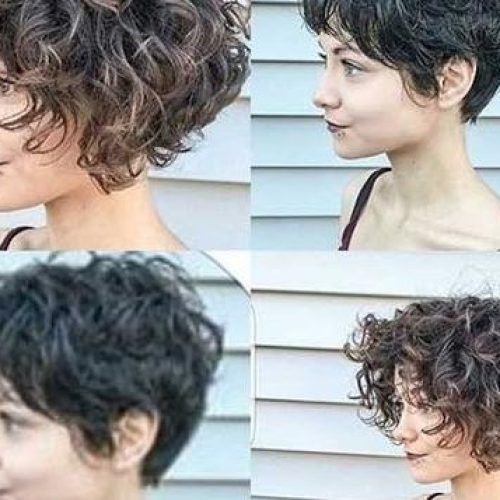 Thick Curly Hair Short Hairstyles (Photo 7 of 20)