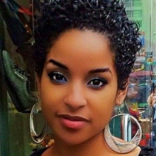 Short Haircuts For Round Faces Black Women (Photo 14 of 20)