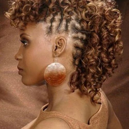 Short Curly Mohawk Hairstyles (Photo 13 of 20)