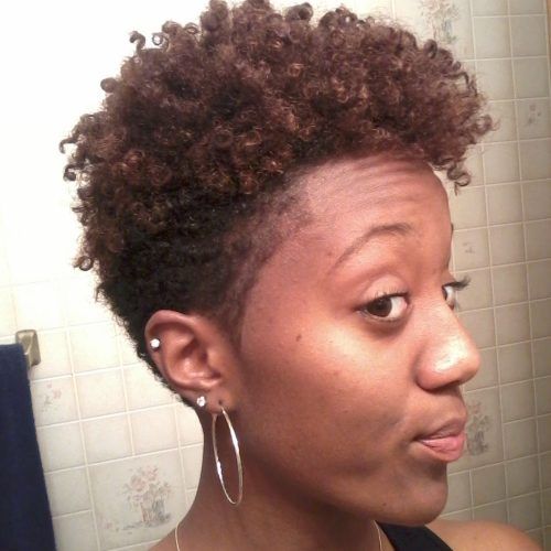 Short Curly Mohawk Hairstyles (Photo 3 of 20)