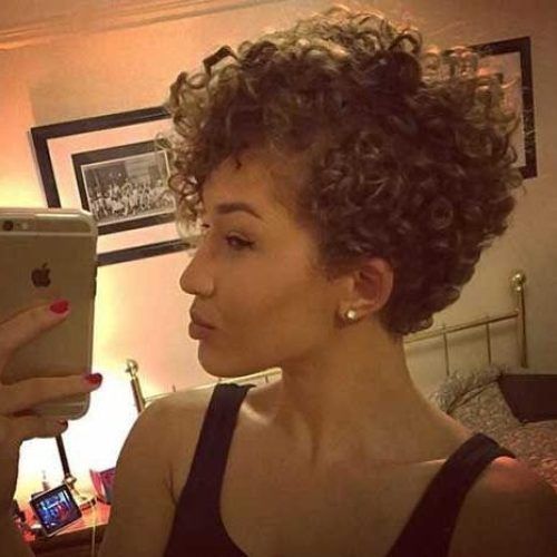 Naturally Curly Pixie Haircuts (Photo 17 of 20)